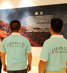 山西介休举行郭泰墓碑揭碑暨公祭郭泰大典