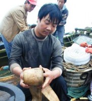 全国见义勇为模范-郭文标