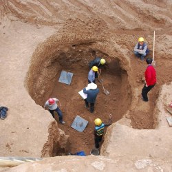 西安凤栖原郭子仪家族墓地考述